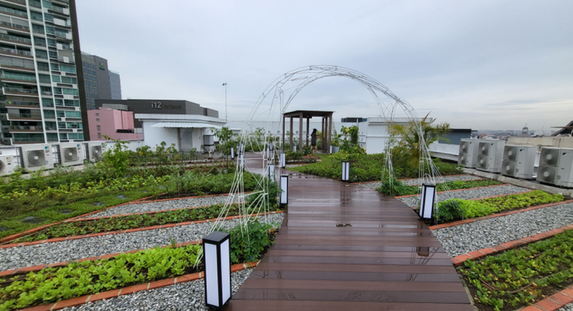 Image shows Green roof with spaces for community.
